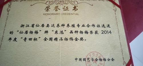 横溪镇大林村垟头自然村金方平的早年奖状,奖品,诉说着仙居杨梅攸久的