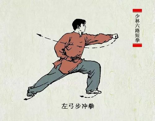 【组图】嵩山少林寺武术学校之少林六路短拳讲解_搜狐