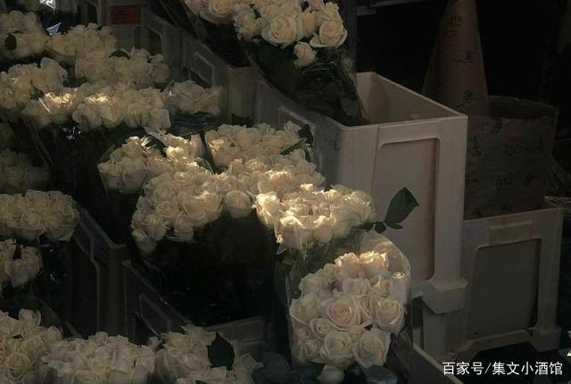 10句适合女孩子看的文案|你喜欢的人应该是你的动力,而不是伤口