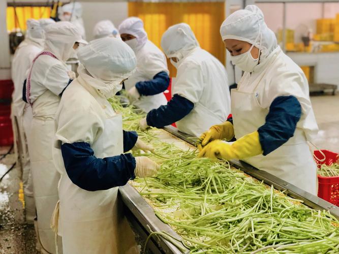 工厂介绍 - 昆明川达食品有限公司