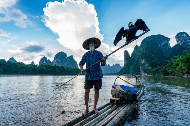 用鸬鹚捕鱼被判刑湖北刘某是老手鸬鹚是如何被驯化捕鱼的呢