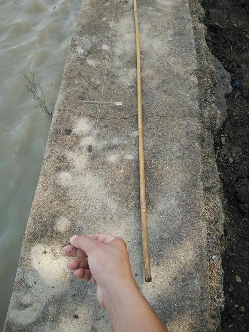 农村人自己做的鱼竿,看似不可能,却能让你鱼获满满!