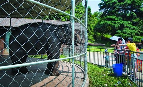 始建于1954年的苏州动物园为几代人的童年创造了美好的回忆,在不久的