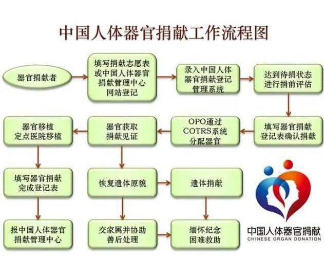 网易首页>网易号>正文申请入驻> 来源丨中国人体器官捐献管理中心"大