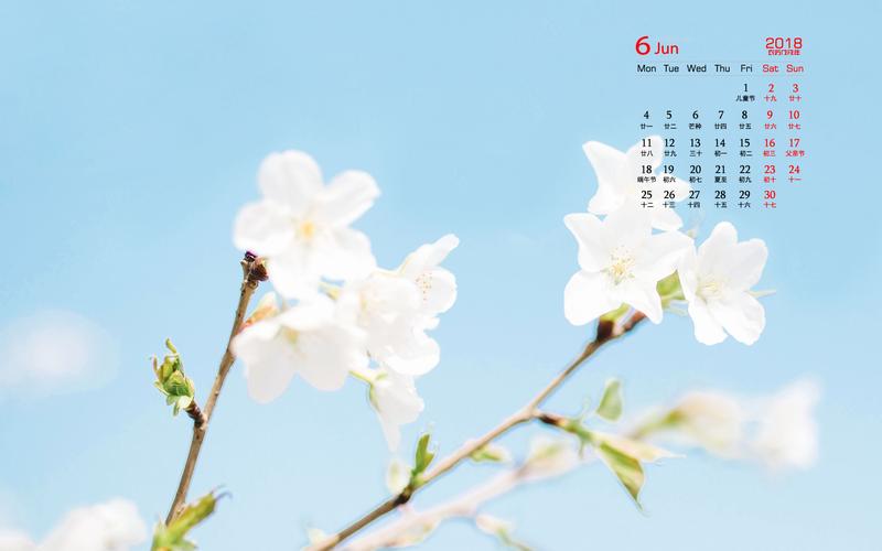 2018年6月小清新护眼高清桌面日历壁纸