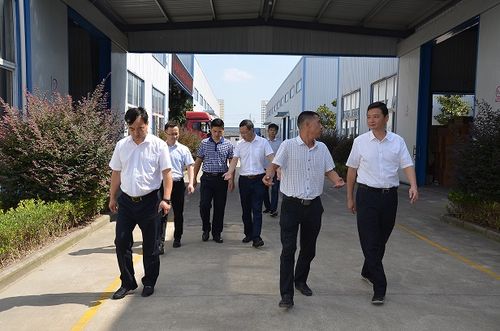 区委书记张彤赴浦头镇开展调研工作