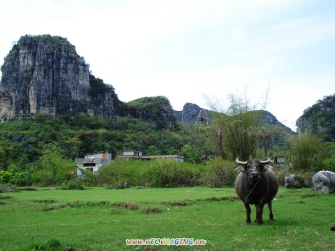 上林风景