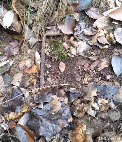 手搓麂子吊脚套安装使用教程