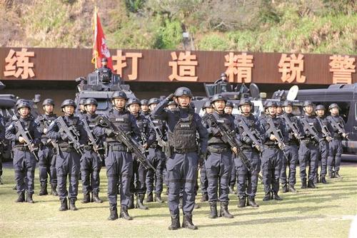 深圳战狼突击队忠肝义胆真英雄淬炼内功守平安