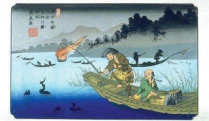 传承千年的古代渔法,日本岐阜长良川鸬鹚捕鱼「鹈饲」