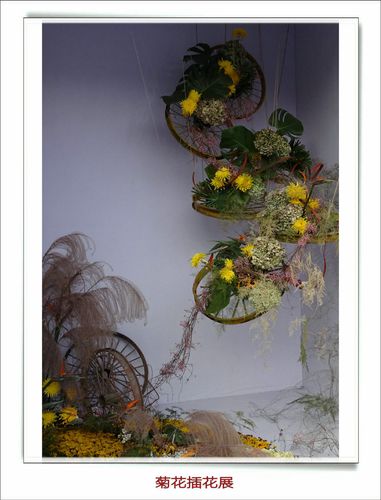 菊花插花艺术展(竖幅)