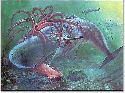 大王乌贼:最大的头足类生物之一,长度可达20米.