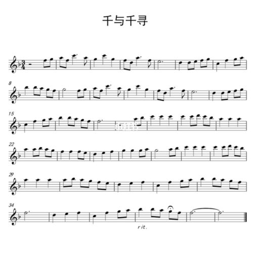 《千与千寻》花花演唱会长笛演奏版_长笛_演奏_演唱会