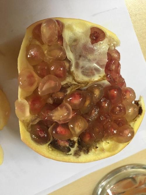 今天切了三个石榴都是坏的!很无语!