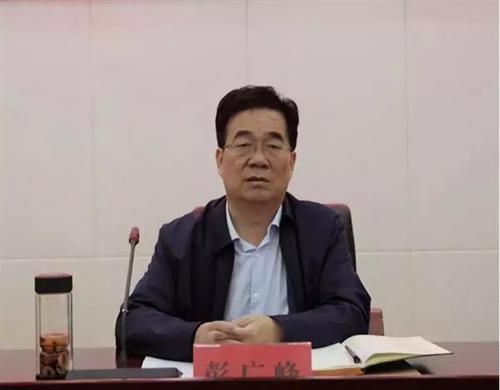 确山县委副书记,县政府县长,县文明委主任彭广峰出席会议并讲话.