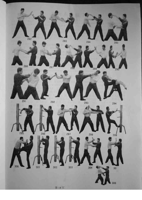 咏春拳教学,自学教程