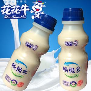 花花牛益生元原味畅极多益生菌酸奶乳酸菌饮料330ml/12瓶整箱包邮