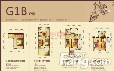 颐明园 户型图