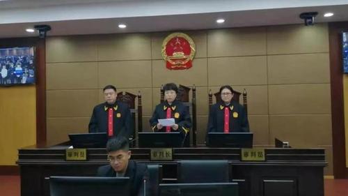 汶上公开审理宣判郑灿筱等14人涉恶案件 最高判15年