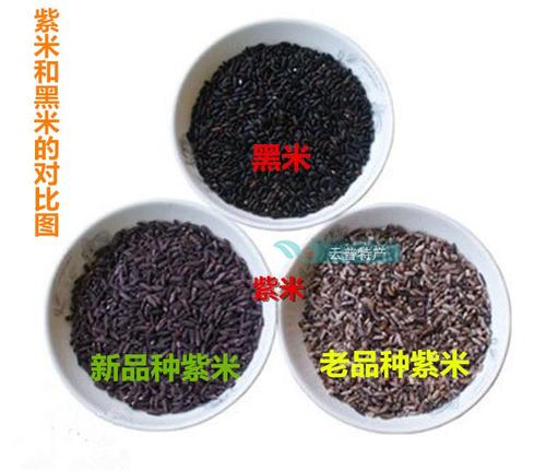 云南特产正品墨江紫米老品种紫米非黑米血糯米500克散装五斤包邮