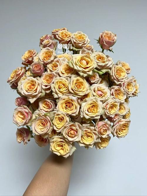 多头玫瑰~神奇茉莉/神奇魔力_粉红_复古色_花卉_家居家装_家居装饰