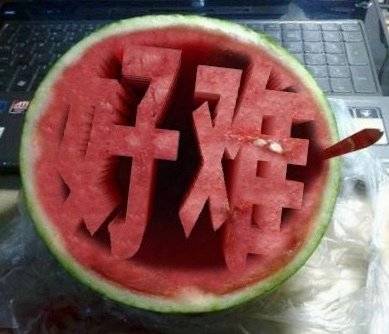 猫咪,爆笑图片,搞笑,西瓜