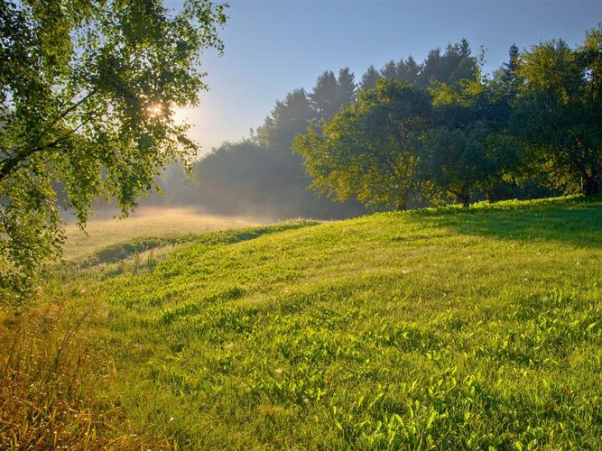 描述: 夏天的早晨-风景高清壁纸 当前壁纸尺寸: 1200 x 900