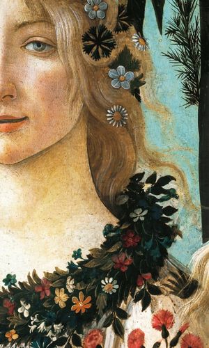 以他的女神,当时佛罗伦萨第一美女,贵妇西蒙内塔(simonetta vespucci