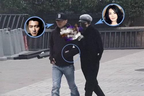 谢霆锋的菜园子塌了 一片狼藉 和王菲的幸福生活曝光