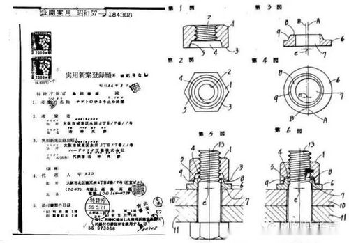 日本号称"永不松动"的偏心式自锁螺母在中国的知识产权关系
