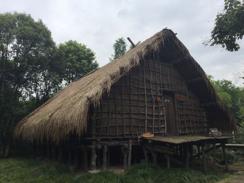 寻访河姆渡的七千年