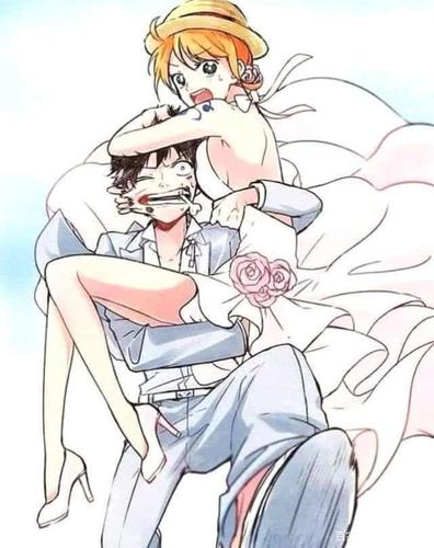 海贼王 娜美和路飞结婚后生了两个女儿,网友感叹娜美