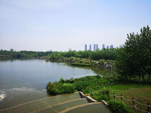 写美篇 西安浐灞国家湿地公园位于灞河与渭河交汇口区域,毗邻泾渭湿地