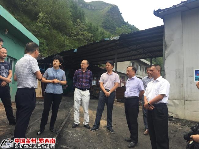 黔西南州委副书记,州长杨永英率队到兴仁县,义龙新区开展国庆节中秋节