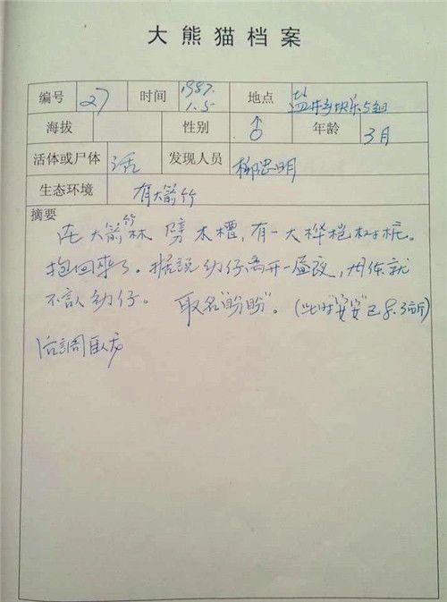 滚滚故事 | 江山半壁,传奇一生:大熊猫"盼盼"的前世