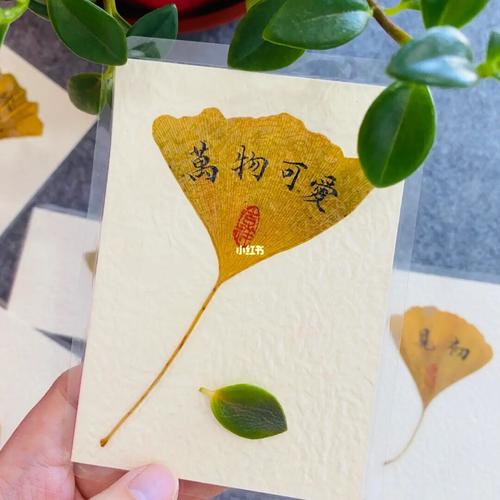 银杏叶只有被制作成书签,深秋才算圆满.