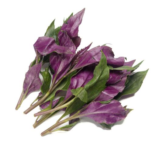 观音菜500g 观音菜 紫背天葵 紫背菜 血皮菜 新鲜蔬菜