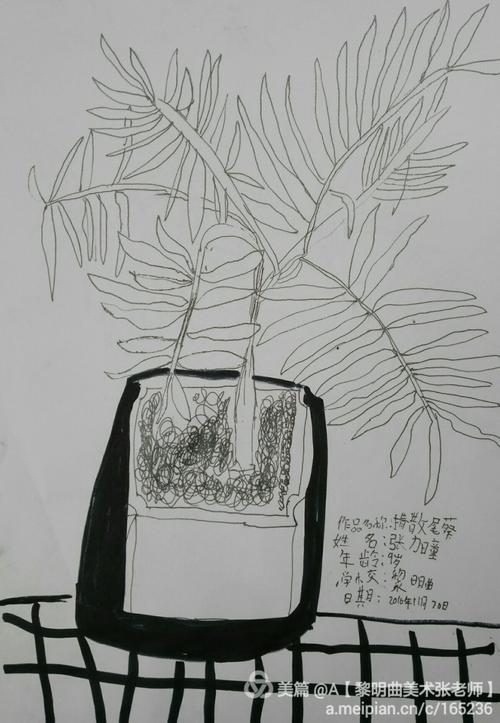 周二写生线描班作品《植物写生/散尾葵》 2016年11月29日