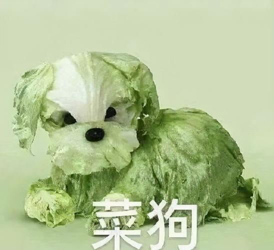 凭奇葩菜狗表情包出圈,设计师糟蹋无数食物,网友却:有被治愈到