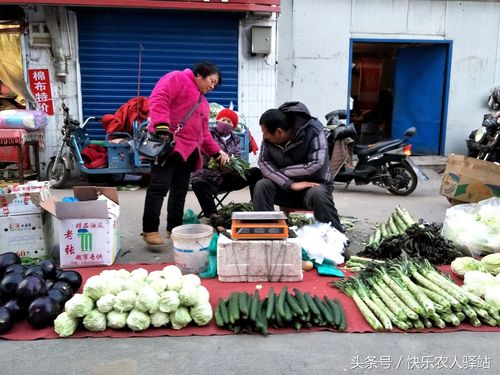 10张冬天路边摆摊图,小贩:白菜价,再便宜就赔钱了