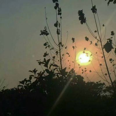 而是你从来没有见识过,身边还有陪你的人,这样才是最幸福美好的.