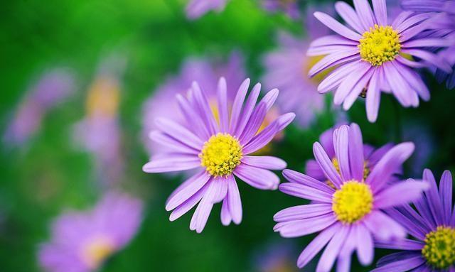 除了大光圈还有3个技巧