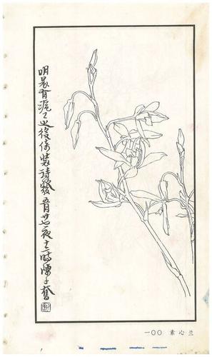 《陈子奋白描花卉册》图赏(多图)