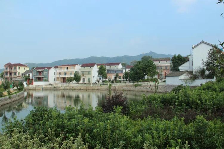 (王四清摄于宜秀区罗岭镇凤溪社区,杨桥镇溪安村)