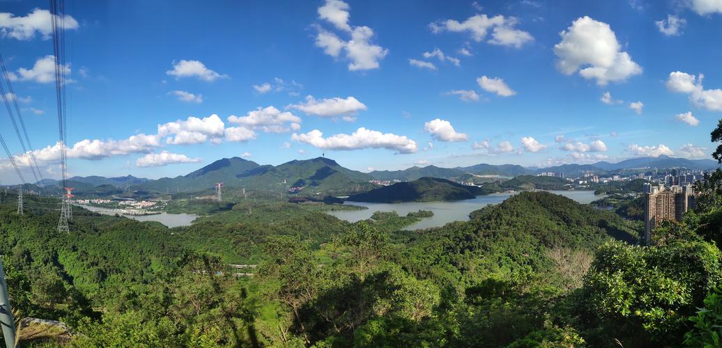 梧桐山全景图