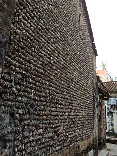 小洲的蚝壳屋已有上百年的历史,小洲的祖辈村民们因地取材,从海岸沙堤