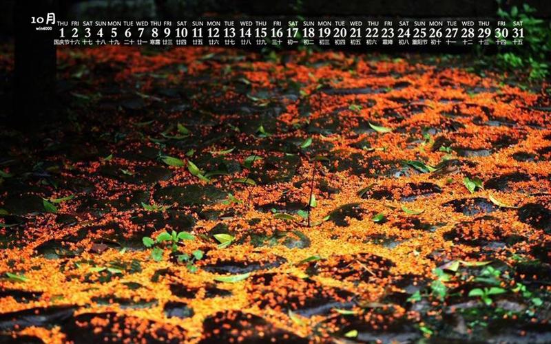 2020年10月唯美桂花图片日历壁纸