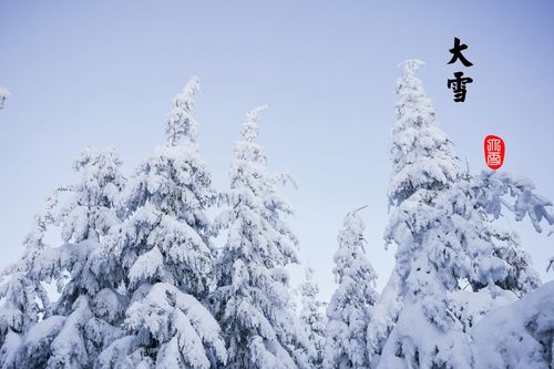 大雪节气图,高清图片