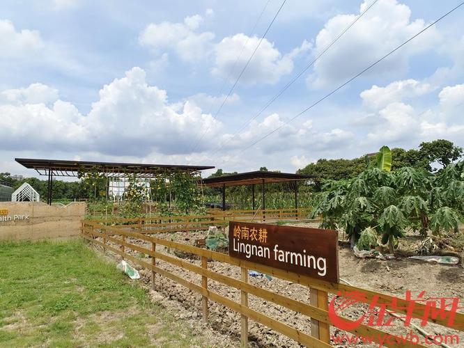 都市农园集农业生产,科普研发于一体