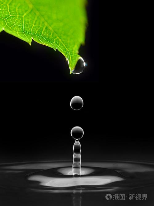 水滴从绿叶,孤立在黑上掉下来